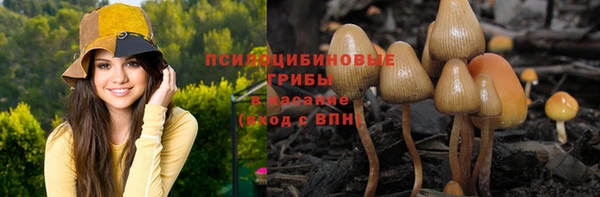 гидра Армянск