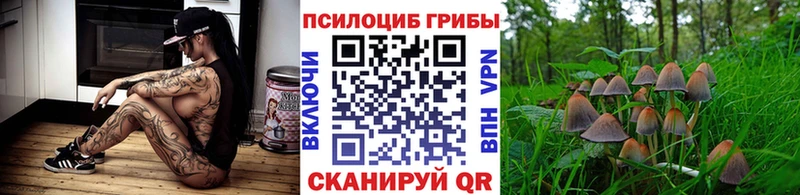 KRAKEN как зайти  shop как зайти  Галлюциногенные грибы Psilocybe  сколько стоит  Таруса 